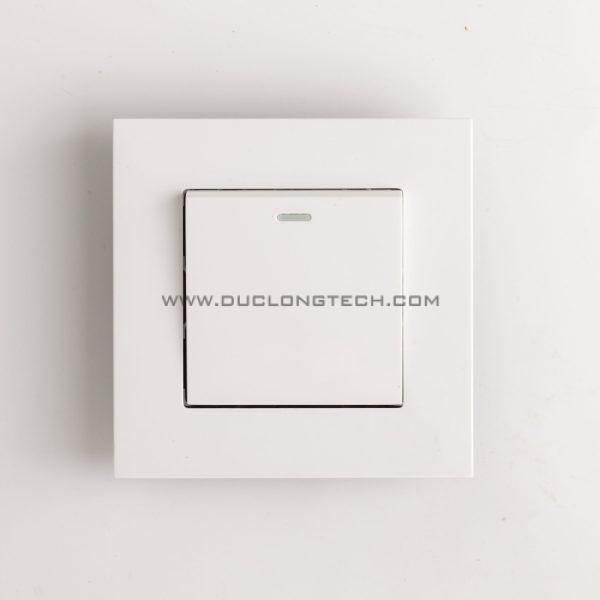 Công tắc điện âm tường 1 chiều và 2 chiều DL F21 Series 1 F21 0001 1 1